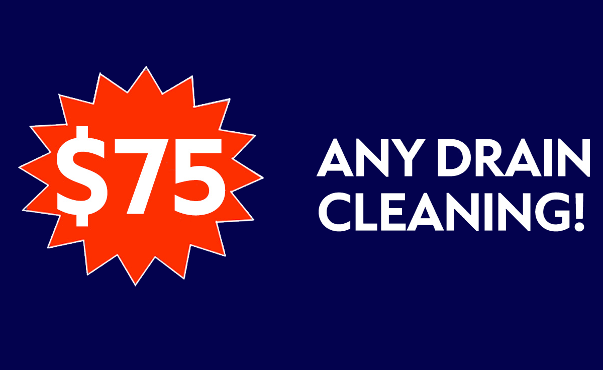 $75 any cleaning